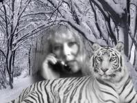 светлана зопелис