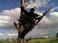 Макс (((((((~~~INVADER~~~))))))