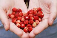 Татьяна Каташова (Зубова)