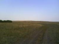 ольга советова