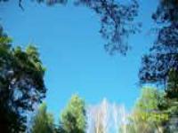 Деревня    Ядрышникова