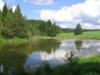 Светлана Чиркова