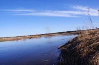 Деревня    Красноселье