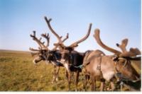 Оля Ольгина