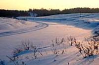 Деревня    Маурино