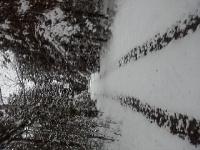 Село Пеньки