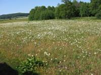 Село Верхотор