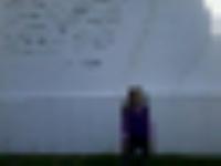 Екатерина Боровик