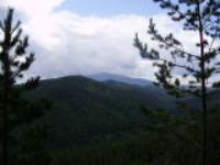 Виктор Болдырев