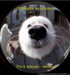 Илья Цирульников