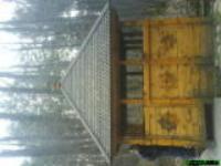 Влад Могилевцев