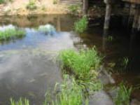 Деревня    Смиренино