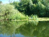 Улица Заречная