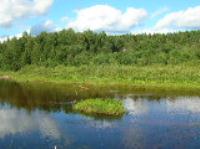 Деревня    Лиходиевский погост