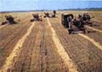 Село Глуховка