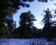 Деревня    Подоба