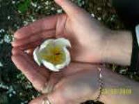 Юлия Каримова