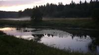 Город Красноармейск
