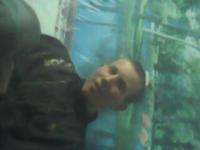 Антон Долгов