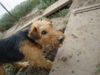 петр петров