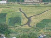 Село Николаевка