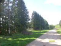 Деревня    Матвеевская