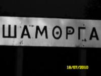 Село Шаморга