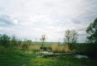 Село Репьевка