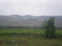 Станица Николаевская