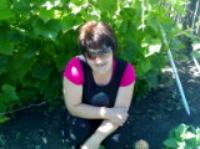 Город Шелехов