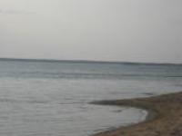 Артур Попов