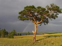 андрей ефимов