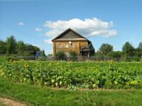 Деревня    Воложба