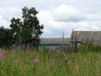 Деревня    Клин