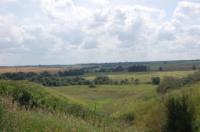 Деревня    Новые Подсосенки