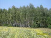 Хутор Кочки