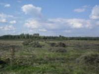 Деревня    Янгуз-Нарат