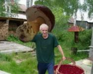 Улица Набережная