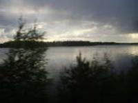 Светлана Шорина