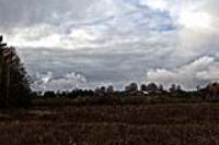 Деревня    Карасиха