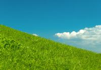 Елена Какурина