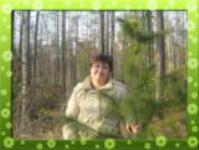 Улица Братьев Шашиных