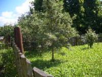 Село Василево (Василевская волость)