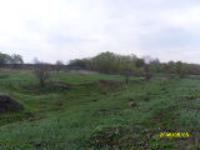 Деревня    Пирожково