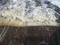 Деревня    Ядрышникова