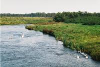 Село Гладково