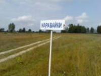 Александр Кузьмин