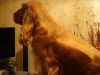 Светлана Присяжнюк