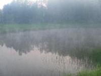 Деревня    Заводовка