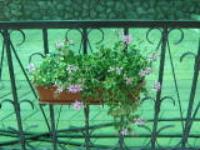 Хутор Рыбальчино